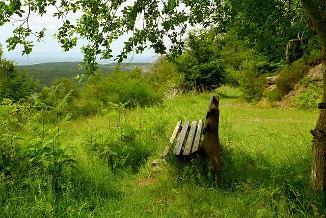 為越來越多 為越來越多