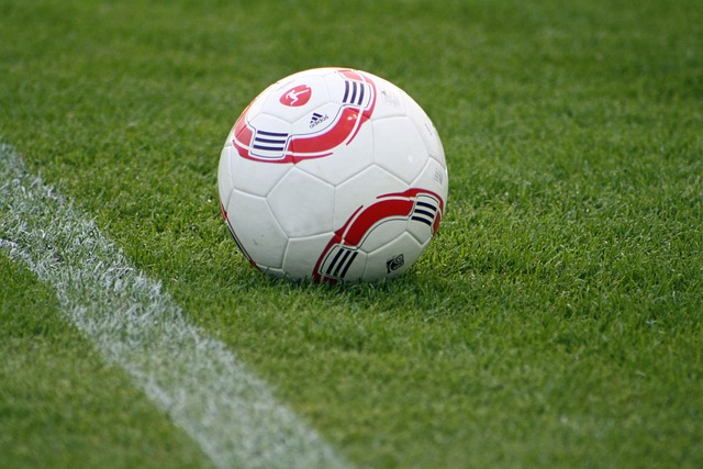 提供强有力 提供强有力