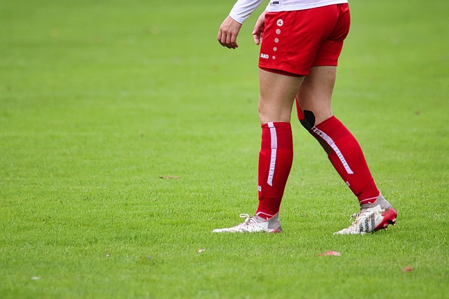 英超第16輪諾維奇0-1曼聯 C羅造點+主罰命中.